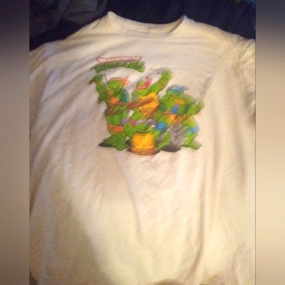 Teenage Mutant Ninja Turtles Graphic Tee, Nickeloden, XL